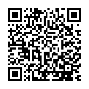 算了算了这里早就没有了祁部落……就让我一个人回去见族长二维码生成