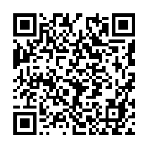 算计死了林封谨接下来的四种闪躲或者硬接的方案二维码生成