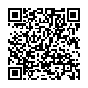 算起来我应该比你们更早知道梅姨和我真正的关系二维码生成