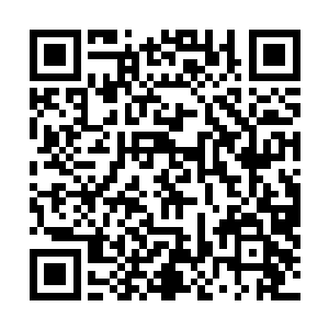 管家艾玛则带着几个佣人接过了杜克从车上拿下来的行李二维码生成