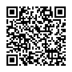 管石的徒弟看到公良泰这么有气度很有可能不追究了二维码生成