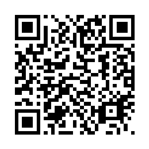 米之洲和雷动将错愕的视线投向叶妩二维码生成