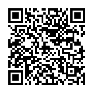 米儿张开了嘴巴把外婆送到了嘴边的菜咬进了嘴里二维码生成