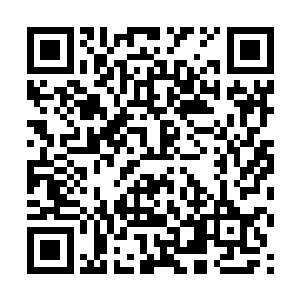 米兰塔和芙蕊这两个女术士绝对会像疯子一样扑过来二维码生成