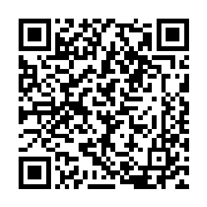 米利克就借着这短暂的时间冲入了猎狐小组的阵地二维码生成