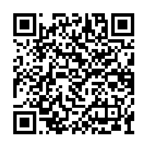 米副院长就将昨晚上常均培告状的事给苏落说了二维码生成