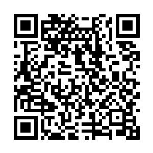 米晓琪和林若烟一起开车送白振东去了曲阳市机场二维码生成