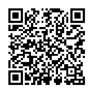 米白壁和米无暇像两只美丽的小蝴蝶一样从楼上飞了下来二维码生成