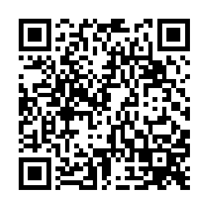 米经纶还是将人族这边的下三品开天境全都带上了二维码生成