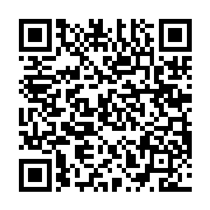 米西莫维奇的直塞球直接被勒沃库森的门将布特得到了二维码生成
