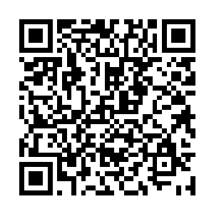 类似这种地势既不险恶又没有任何特殊之处的海岛二维码生成