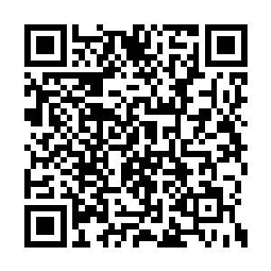 粉丝们用他们的欢呼声来表达自己对宇天的热爱二维码生成