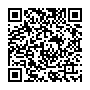 粗壮的巨尾在幽暗的山洞中闪动着择人而噬的寒光二维码生成