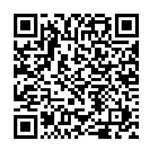 粘在蛛网上的某个考生听见脚步声连忙拼尽力气大喊二维码生成