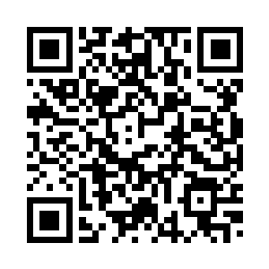 粟米苞谷以及豆种菜种一共三十斤二维码生成