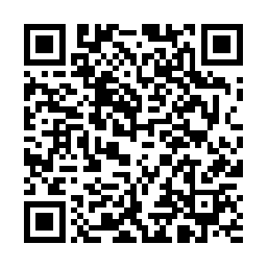 精彩的故事情节比起扣人心弦的打斗和特技也毫不逊色二维码生成
