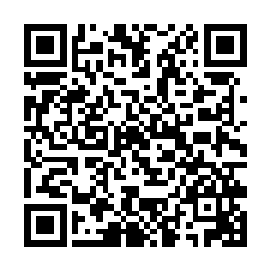 精心侍弄倒也不会比三百多亩的那个庄子差到哪儿去二维码生成