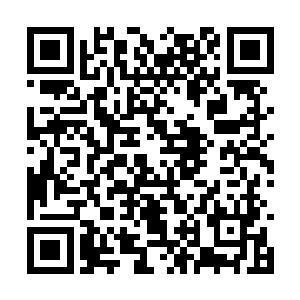 精灵族相比于其他的种族来说生育是十分的困难的二维码生成