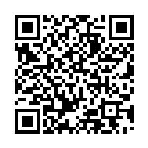 精灵铁卫都受过大精灵王亲自的训练二维码生成