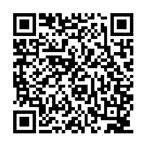 精神饱满的下车后跟着蒋方震一道进了避暑山庄二维码生成