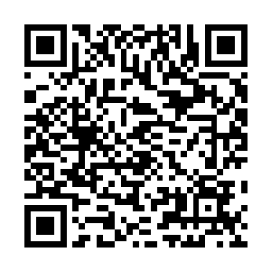 精致如精灵一般纯洁无瑕的娇颜被落日染上了薄薄的余辉二维码生成