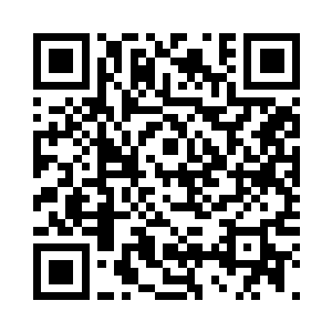 精致的五官像是上了一层细白的釉色二维码生成