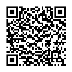 精致的妆容将她本就不菲的本钱衬托的更加完美二维码生成