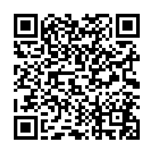 系列里对蝙蝠侠在光明正义和黑暗守护之间的苦苦挣扎二维码生成