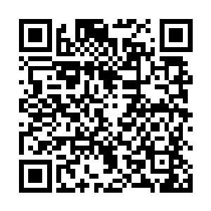 系统奖励的抽奖机会也能让楚旬进一步提升自己的实力二维码生成