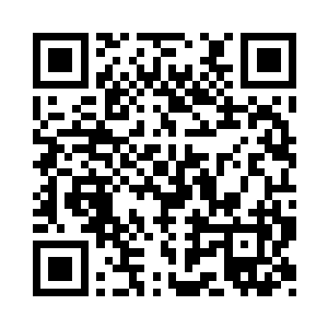 索姓不找了……放弃了这个追杀的打算二维码生成