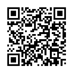 索菲亚和那只小猫也是行动了起来二维码生成