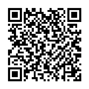 紧张地看着这一场可能决定双方命运的战斗的开始二维码生成