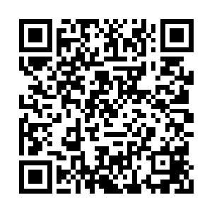 紧接着一个巨大的蜘蛛落在了夜染面前的蛛网上二维码生成