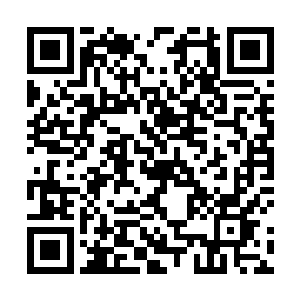 紧接着下方的五彩色的光幕也发出一道道五彩色的光芒二维码生成