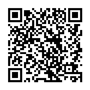 紧接着仿佛有一件透明的软甲覆盖在了身体上一般二维码生成