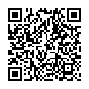 紧接着八眼地龙张开大嘴一下咬住蓝水鳄的尾巴二维码生成