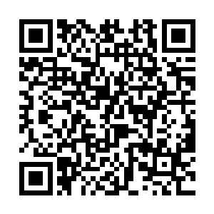 紧接着又把目光整齐地望向了依旧站在门口的许紫烟二维码生成