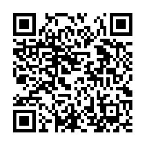 紧接着又是一串子弹落在了他的右侧比较远的地方二维码生成