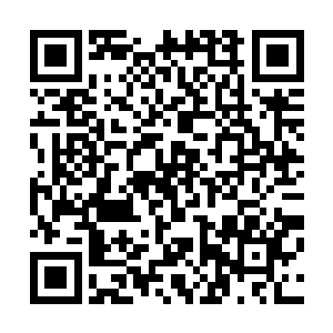 紧接着右膝狠狠地按住龙王的脑袋朝着自己的膝盖砸了过去二维码生成