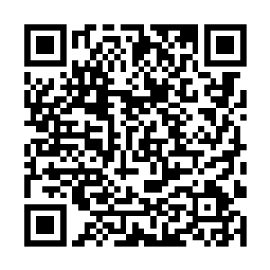 紧接着就完全覆盖住了面前小千世界当中的六耳妖猿二维码生成