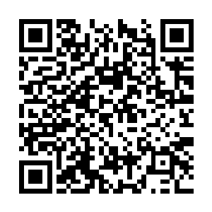 紧接着就将全部注意力都放在了身前的傀儡人偶上二维码生成