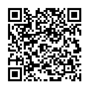 紧接着就是大捆大捆庙里香积厨的干柴被抛了过来二维码生成