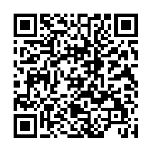 紧接着就看到十一个天尊将手在十一个弟子的头上一拂二维码生成