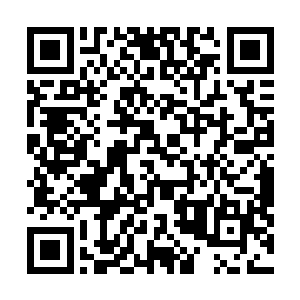 紧接着这股诡异的力量则开始沿着他们的经脉疯狂的肆虐二维码生成
