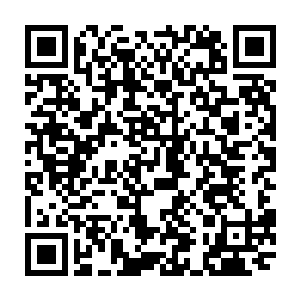 紧接着龙傲天就感觉到自己被一股大力抛飞喉咙一甜一口鲜血从嘴中狂喷而出二维码生成