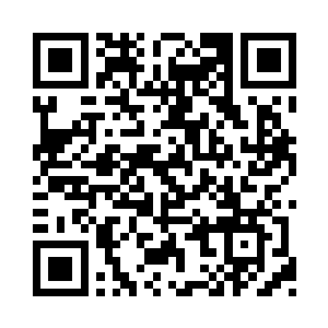 紧紧锁定那抹已经消失在花丛林海中的倩影二维码生成