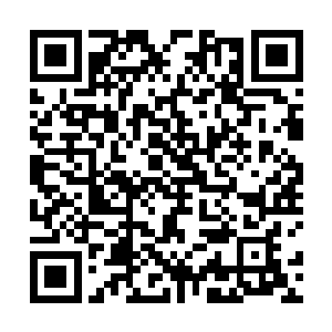 紧跟在穆根身后进门的奥利维亚也和老人家问了一声好二维码生成