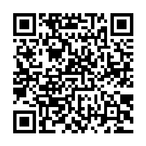 紧随着他们降落的还有几个后背背着巨大翅膀的人形亮光二维码生成