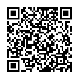 紫光在禁制上荡起的光华瞬间就与范筱梵的金色符号的华光相撞二维码生成