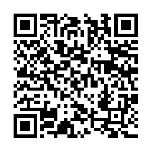 紫千幻和月冰凝这两人能够为众人提供免费的娱乐二维码生成